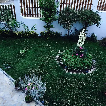 ゲストハウス Petrovi