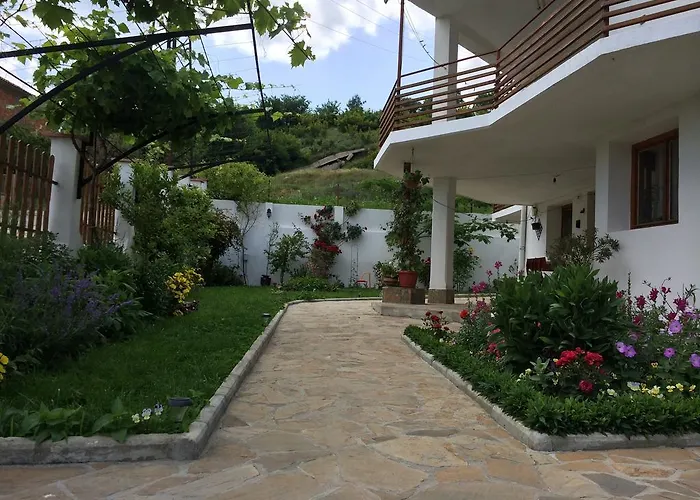 ゲストハウス Petrovi オブゾー