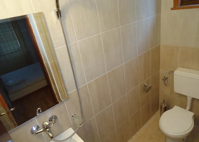 Petrovi ゲストハウス オブゾー