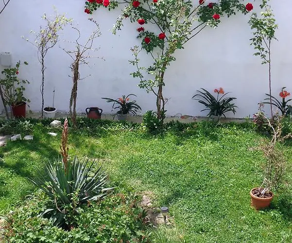 ゲストハウス Petrovi *