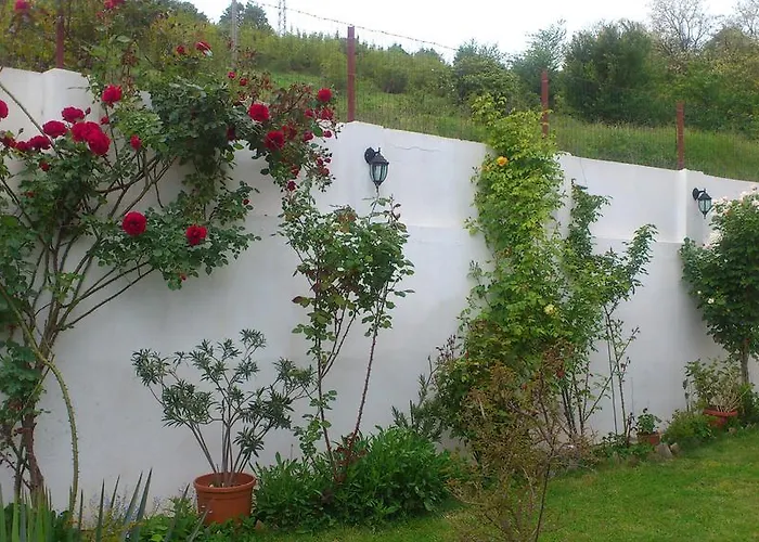 ゲストハウス Petrovi